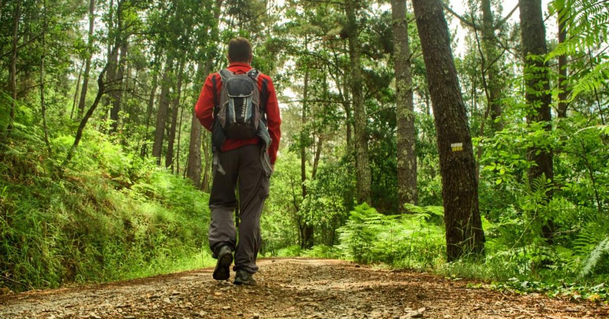 Sendas para descubrir un país así es la guía con 122 rutas de