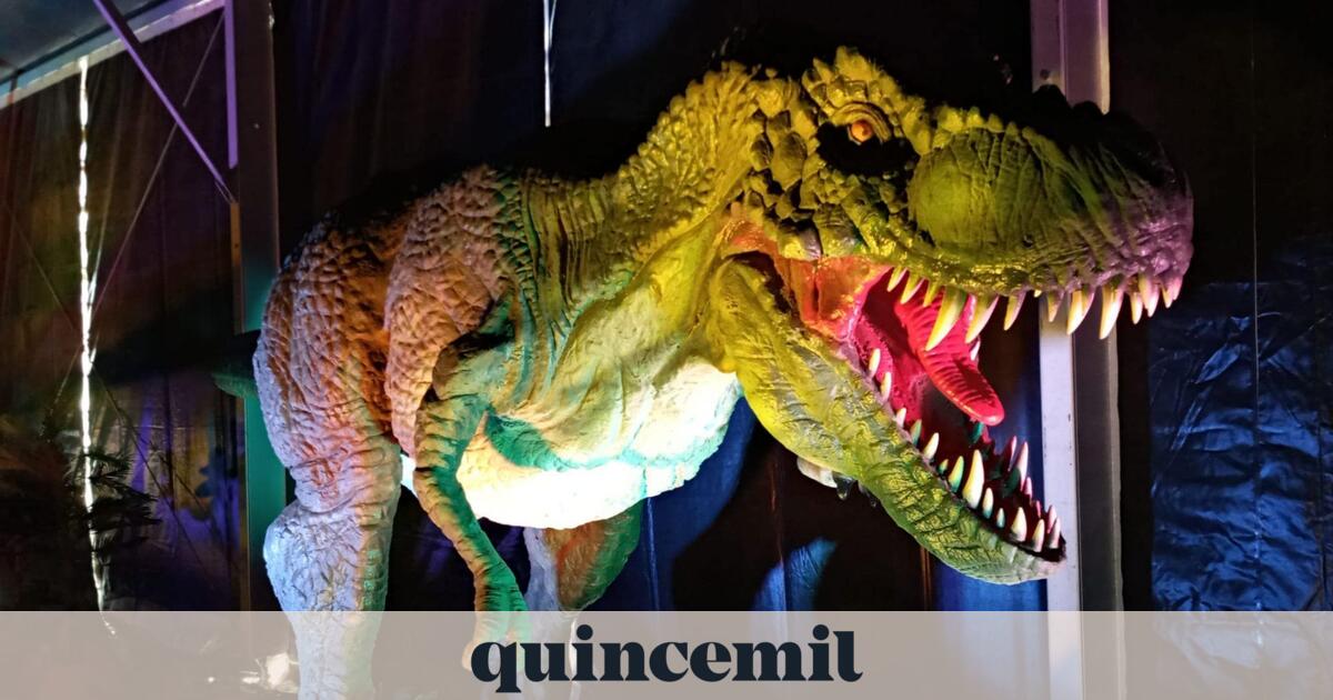 Dino Expo Xxl Llega A Ferrol Con M S De Dinosaurios A Escala Real