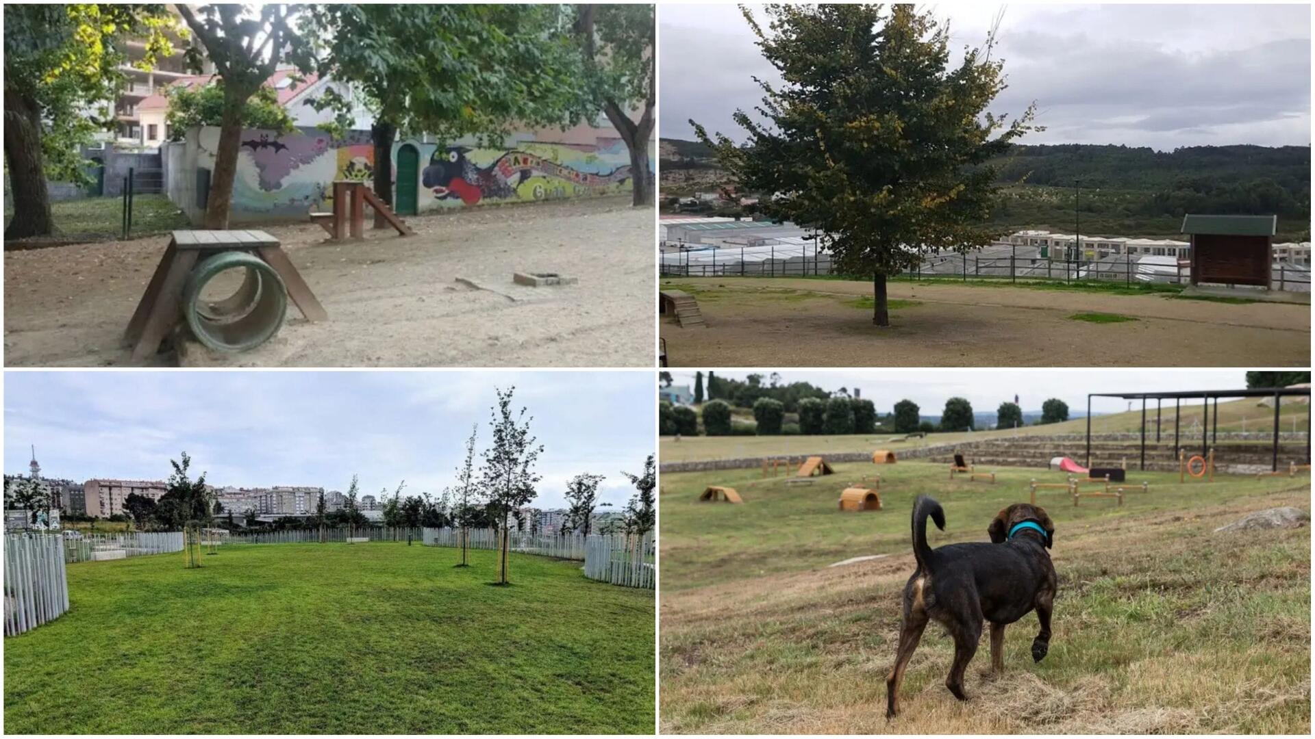 Manacor estrena un parque para perros - Digital Manacor